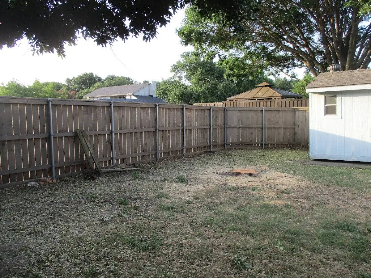 Cleared yard after professional tree removal in Walton