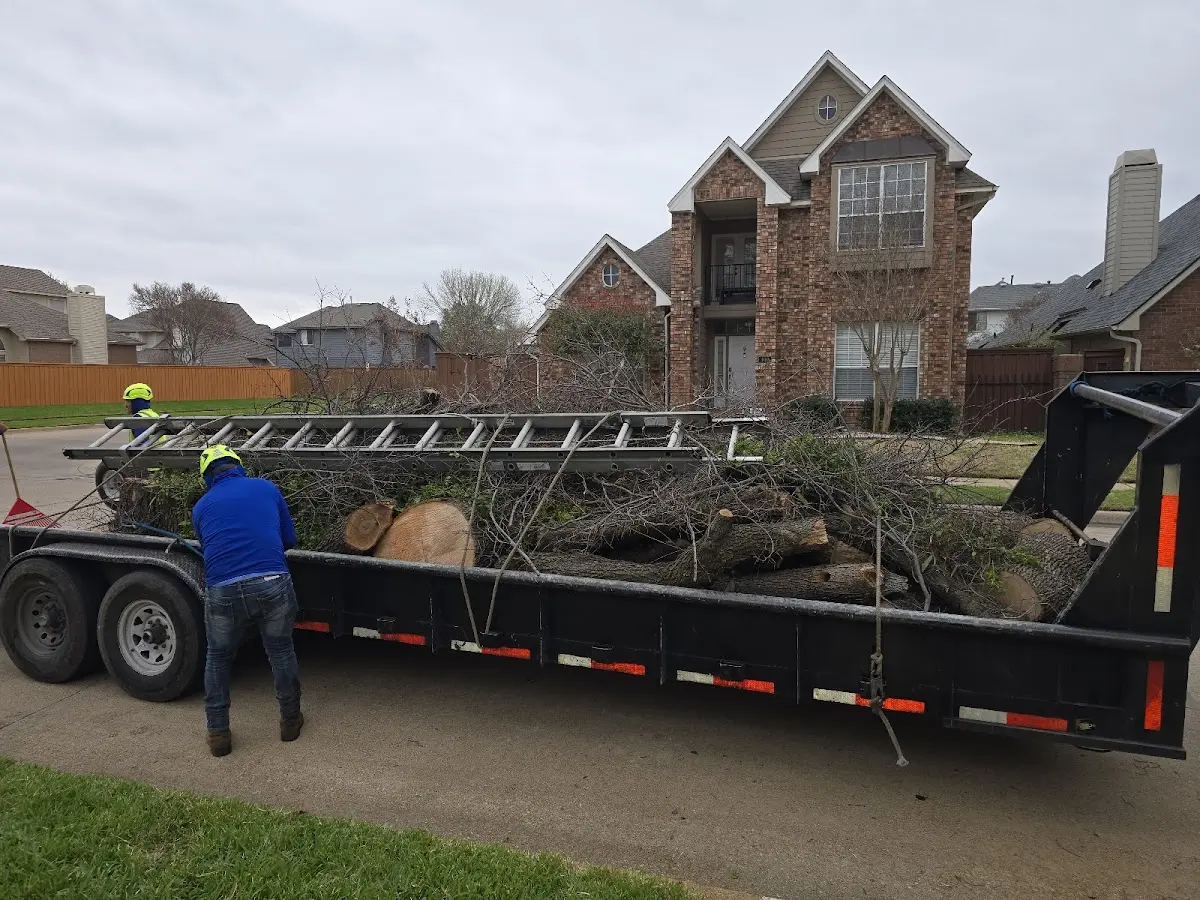 Expert Lot Clearing with proper safety equipment in Walton